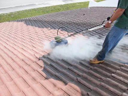 Guide on Can You Pressure Wash A Roof?